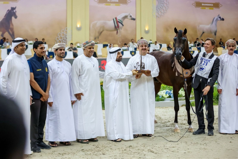 المهر أشرف أر سي للخيالة السلطانية يتوج بلقب البطل البرونزي للأمهار في بطولة دبي الدولية للجواد ...