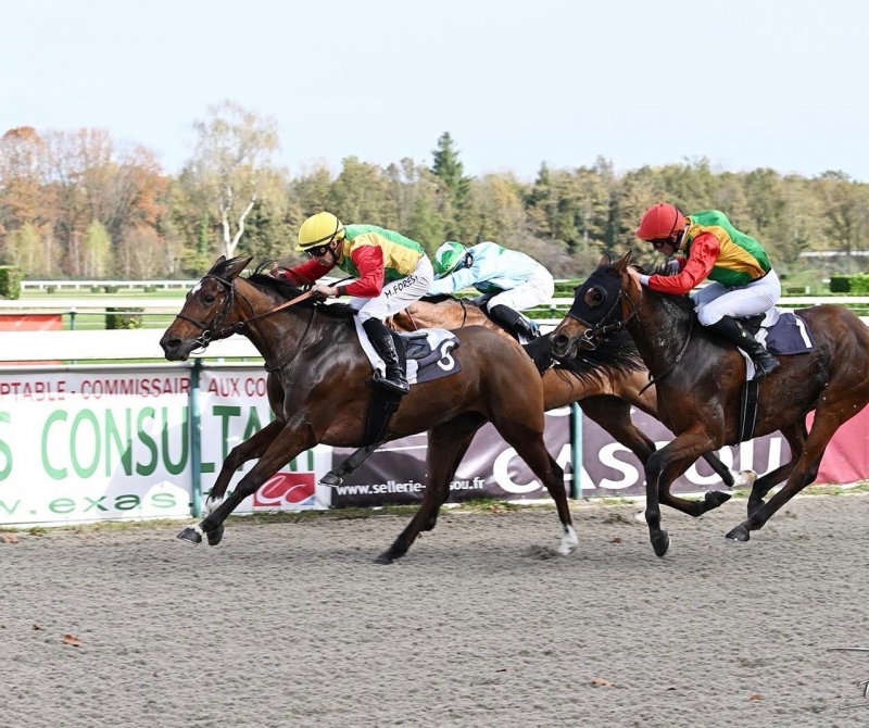 صوارم والريم للخيالة السلطانية تفوزان بالمركزين الأول والثاني على مضمار باو ...