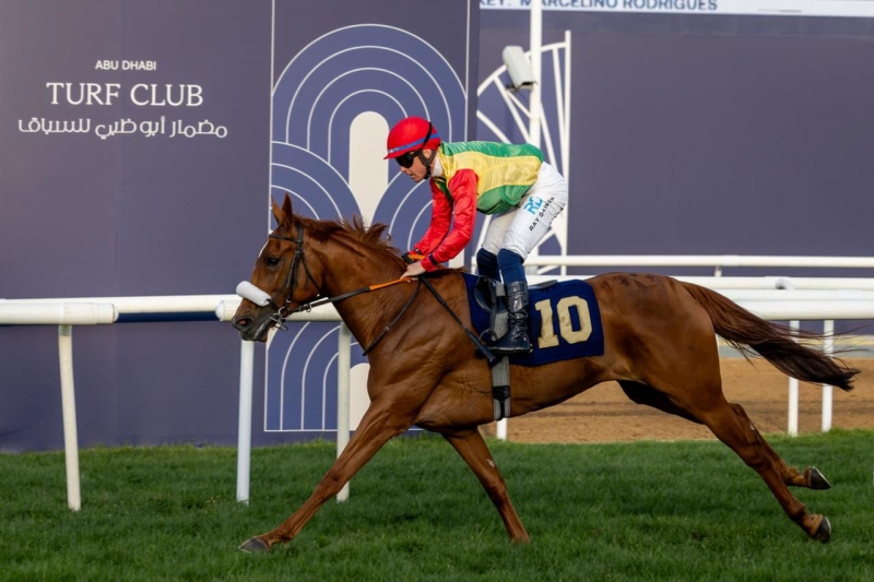 الفرس عزة للخيالة السلطانية تفوز بالمركز الأول على مضمار ...