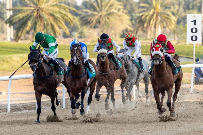 الحصان مثابر للخيالة السلطانية يفوز بالمركز الأول على مضمار العين