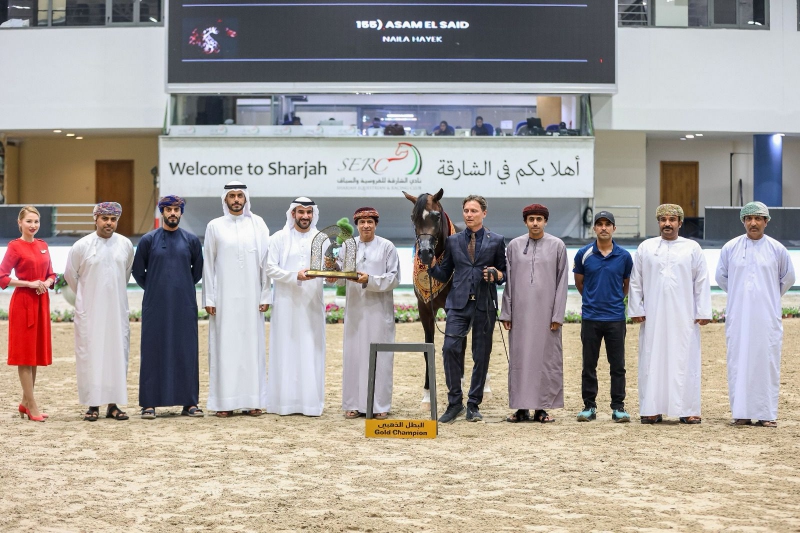 المهر أشرف أر سي للخيالة السلطانية يتوج بلقب البطل الذهبي للأمهار في مهرجان الشارقة الدولي للجواد ...